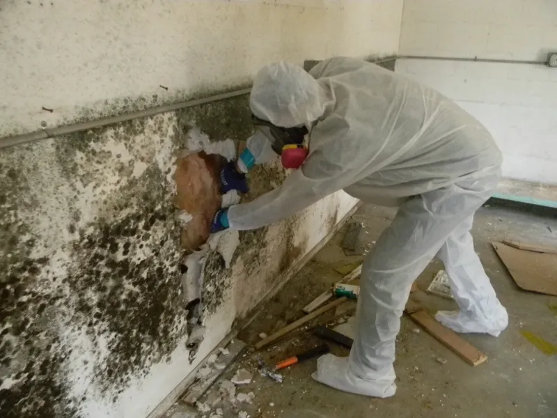 trauma scenes biohazard services